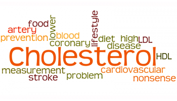 cholesterol basics